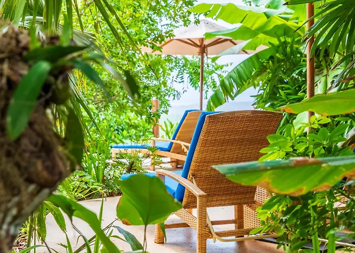 Hotel Boutique Lagarta Lodge